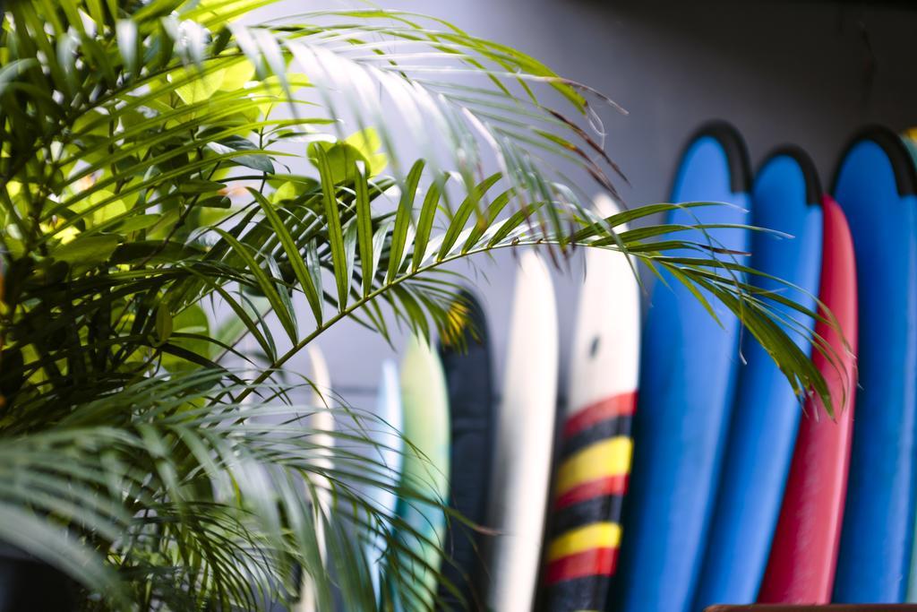 Surfers House 호텔 꾸따 외부 사진